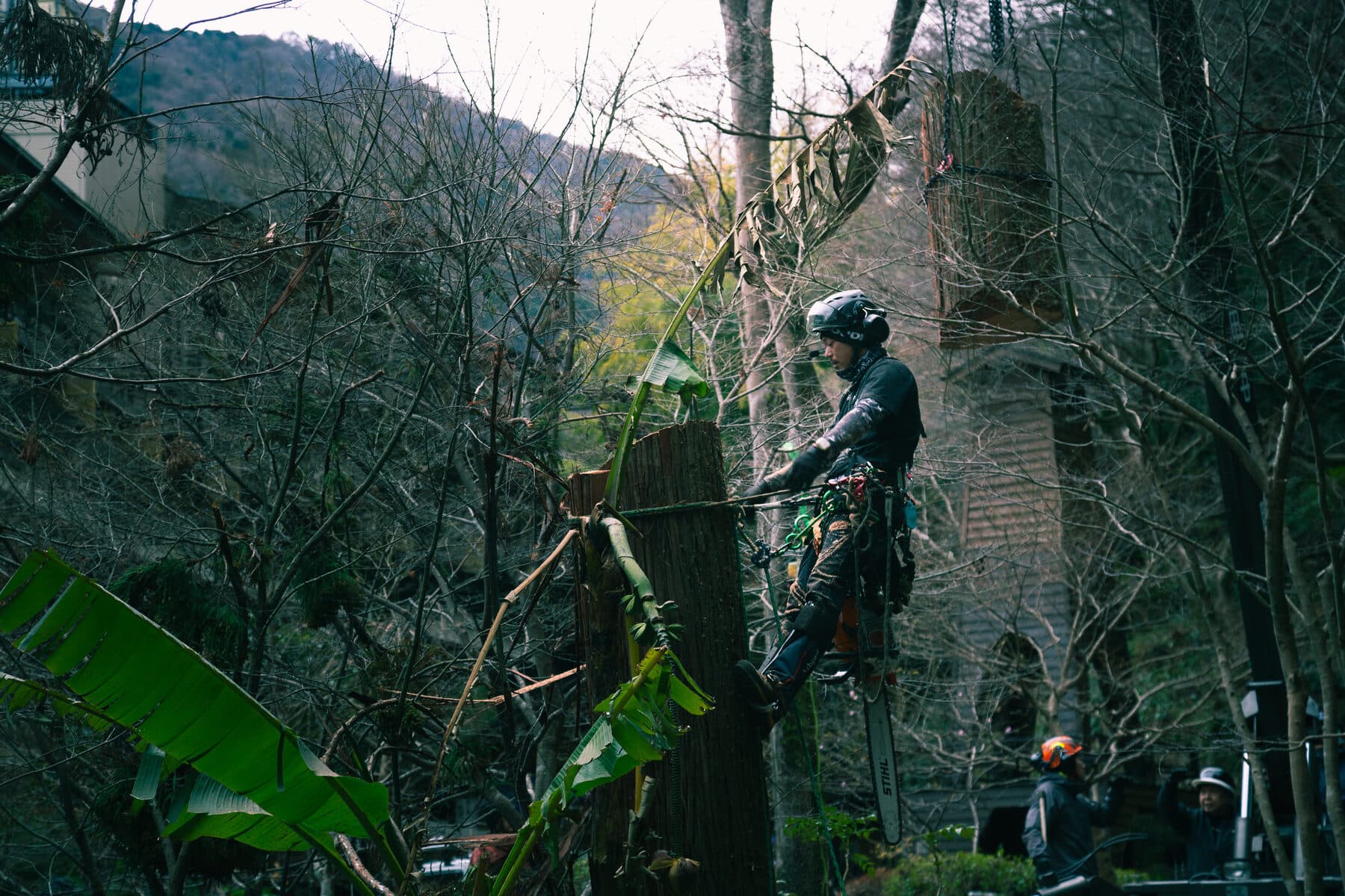 植木屋凛 — horizontal still